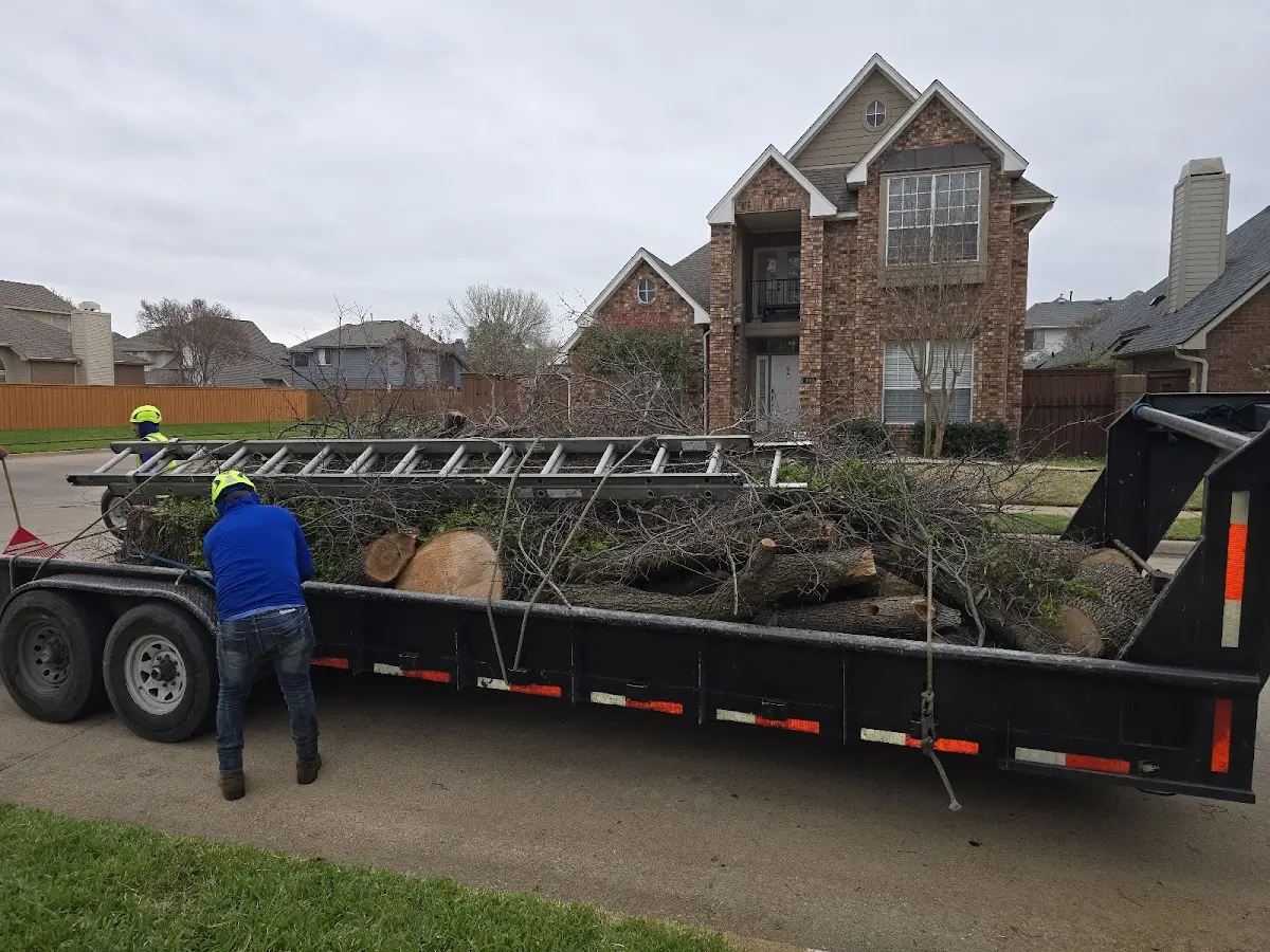 Expert Tree Removal with proper safety equipment in Benton Ridge